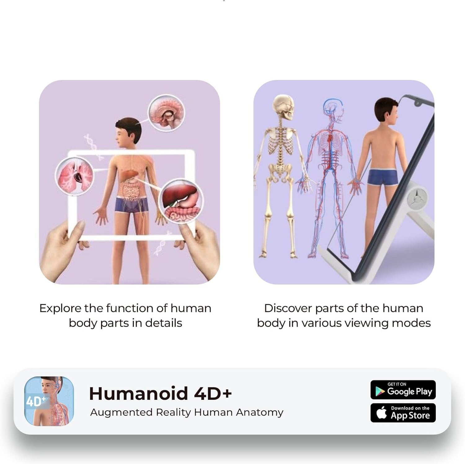 🤖 Humanoid 4D+ — ¡Descubre el cuerpo humano de forma interactiva!